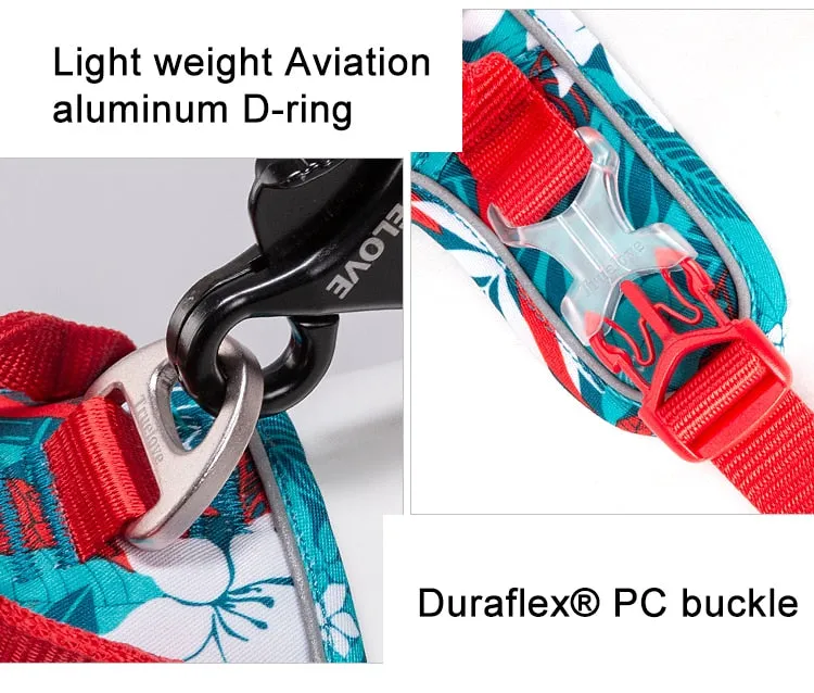 Colour Burst Harness (No Pull)