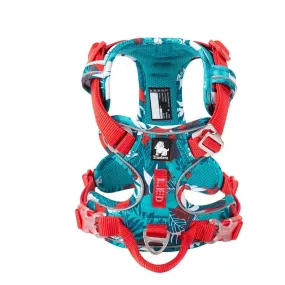Colour Burst Harness (No Pull)