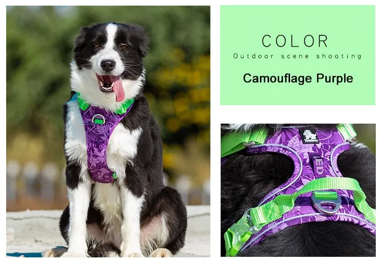 Colour Burst Harness (No Pull)