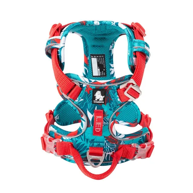Colour Burst Harness (No Pull)