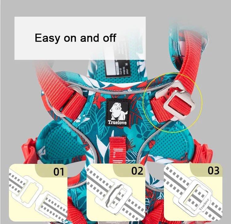 Colour Burst Harness (No Pull)