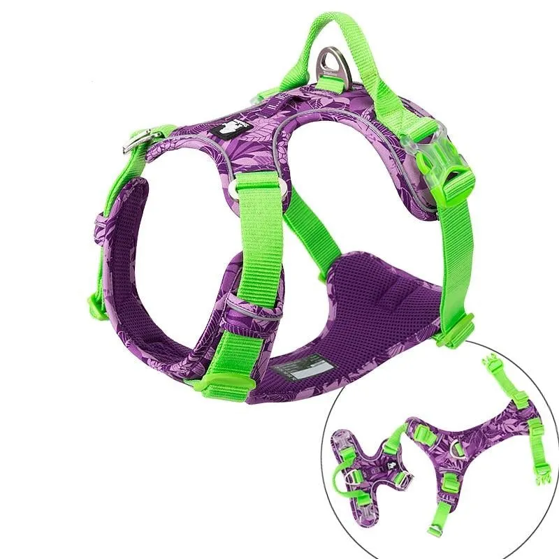 Colour Burst Harness (No Pull)