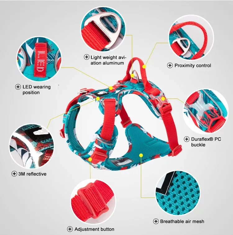 Colour Burst Harness (No Pull)