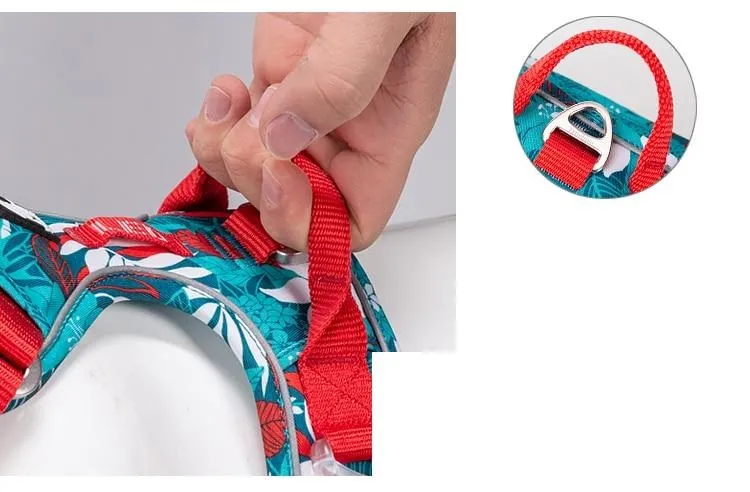 Colour Burst Harness (No Pull)