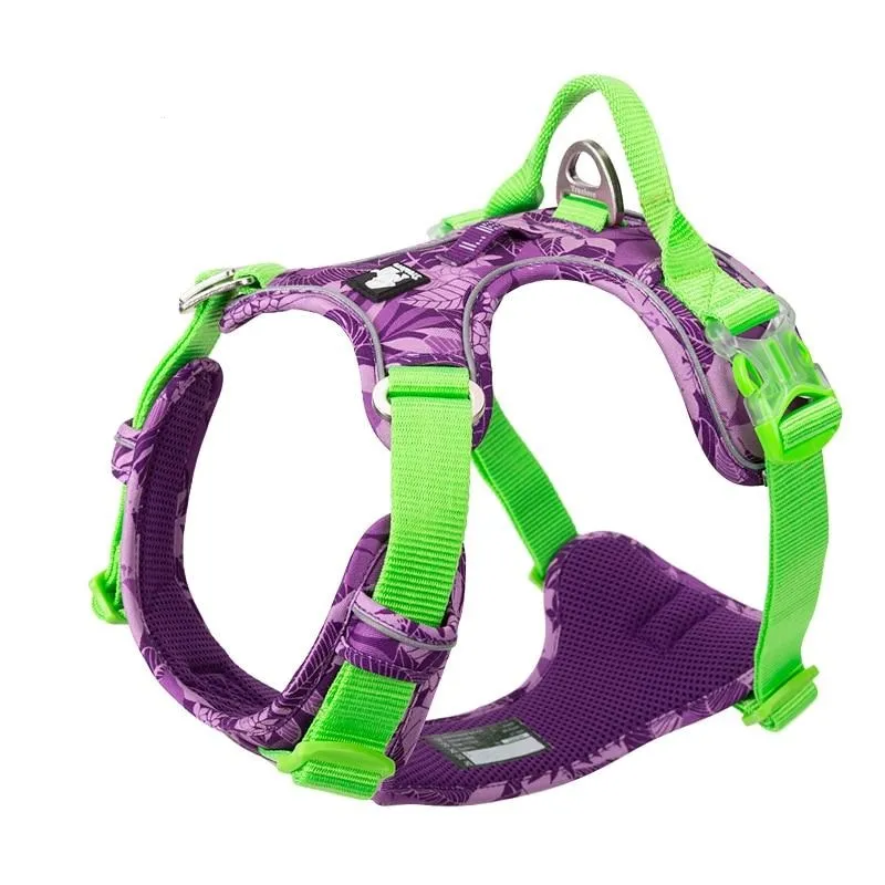 Colour Burst Harness (No Pull)