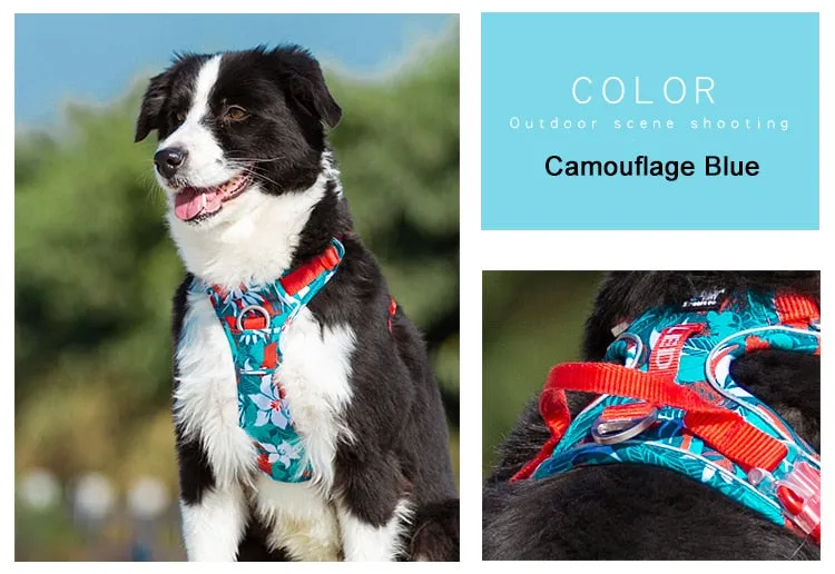 Colour Burst Harness (No Pull)
