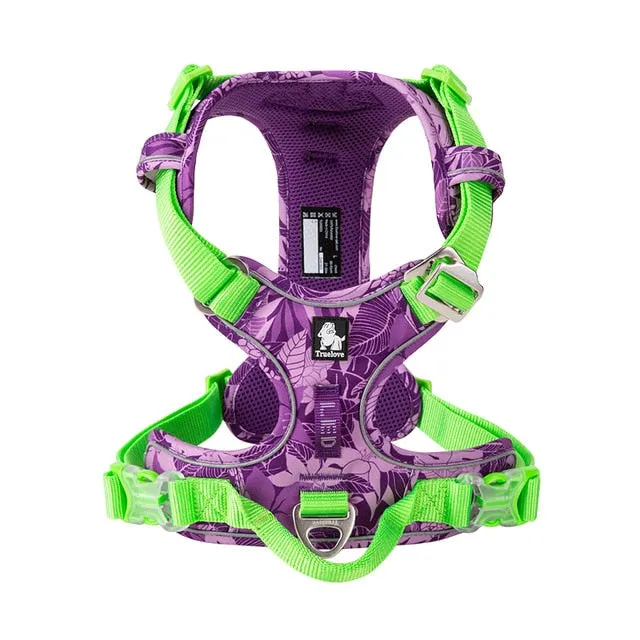 Colour Burst Harness (No Pull)