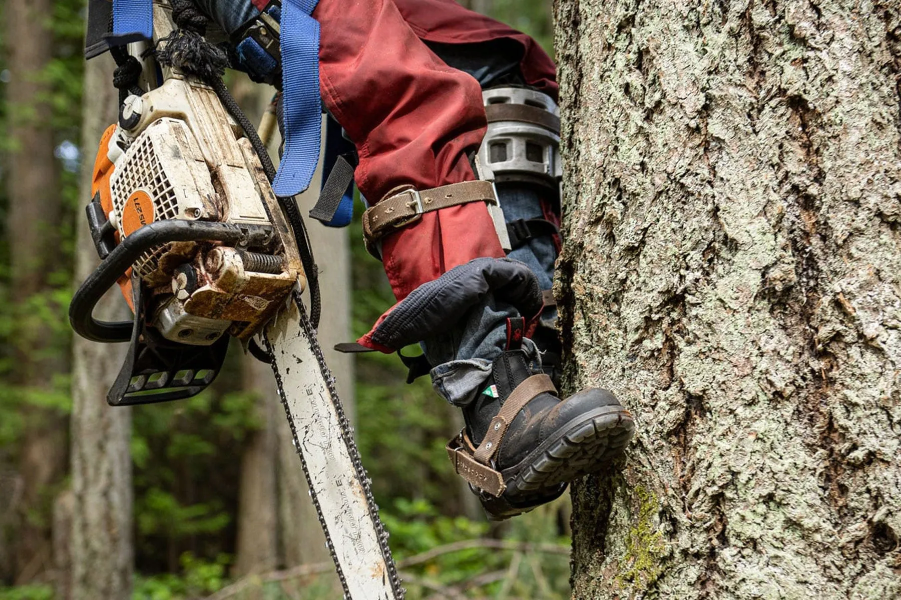 Redback Bobcat CSA Safety Pull On Boot in Tussock ,Black, Claret